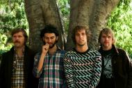 Horse the Band