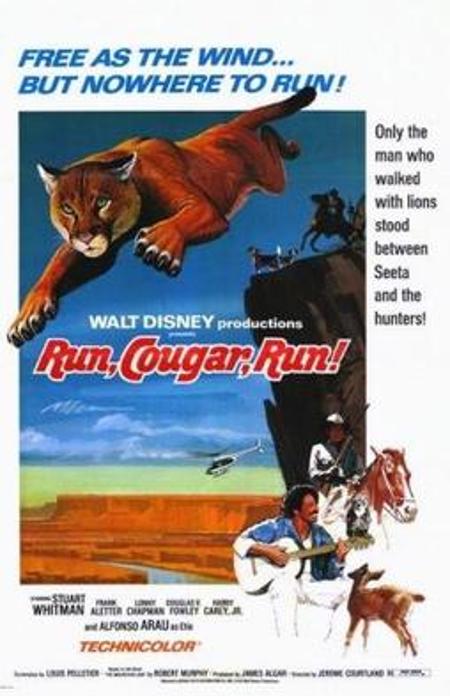 Run, Cougar, Run