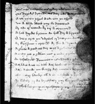Peniarth MS 52